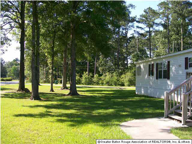 12225 Brown Road Denham Springs, LA 70726 - Photo 3 of 8