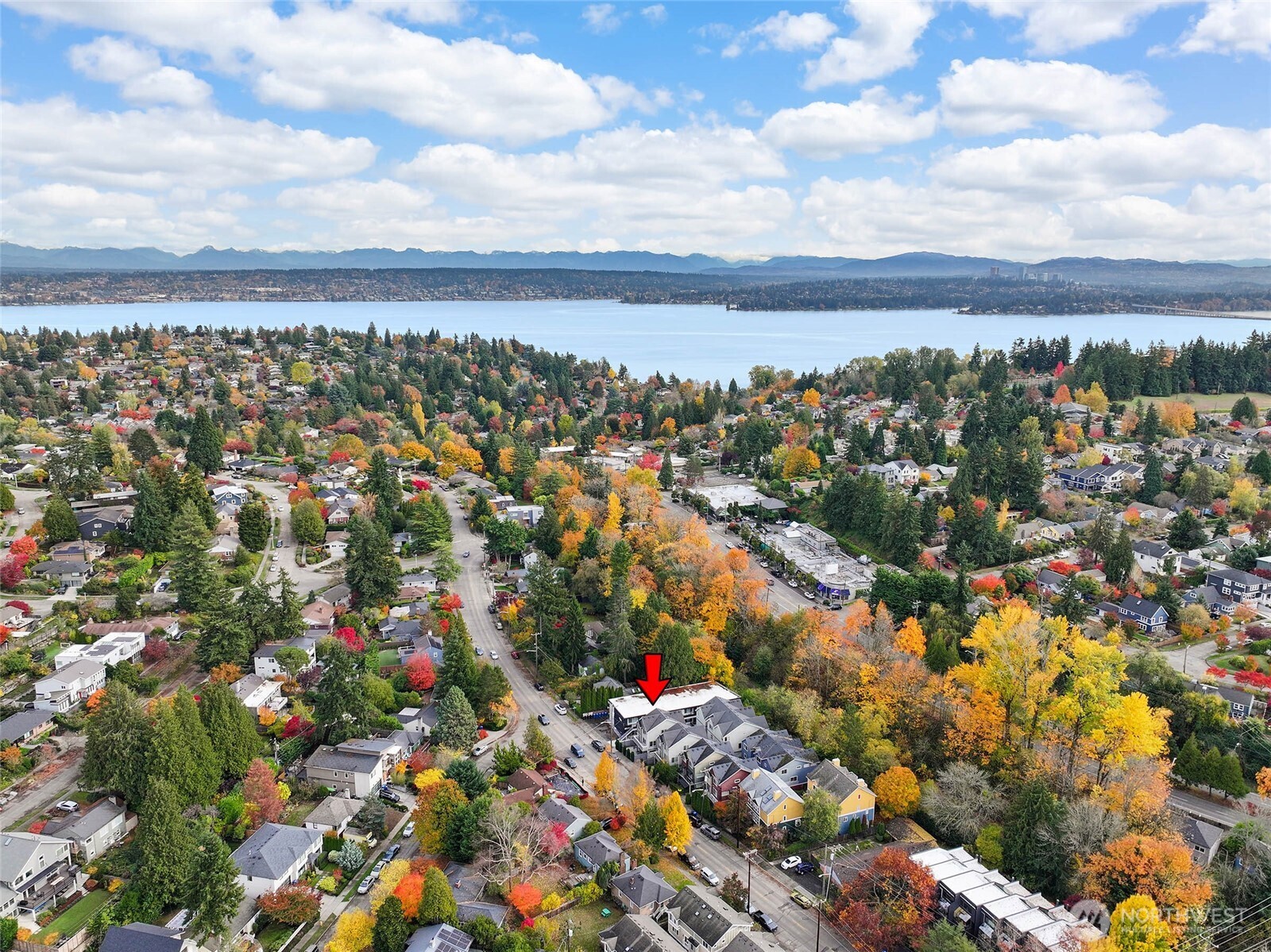 4535 Northeast 55th Street Seattle, WA 98105 - Photo 20 of 21