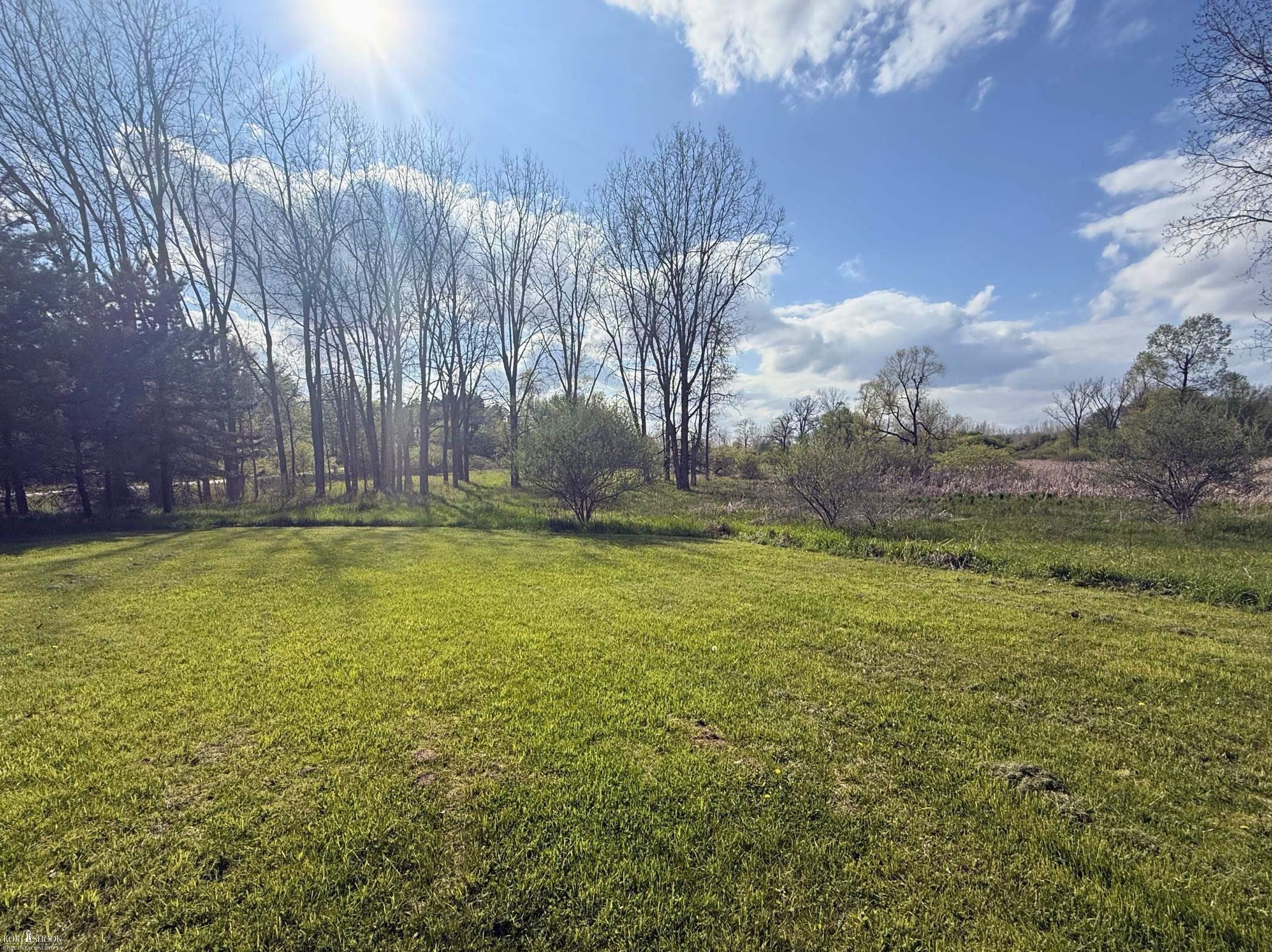 Vacant Land Tyrrell Road Owosso, MI 48867 - Photo 7 of 12