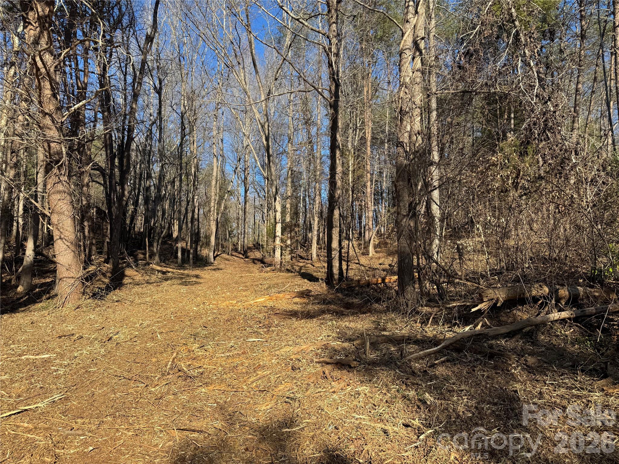 1308 Terrapin Ridge Road Catawba, NC 28609 - Photo 5 of 10 a view of covered with snow