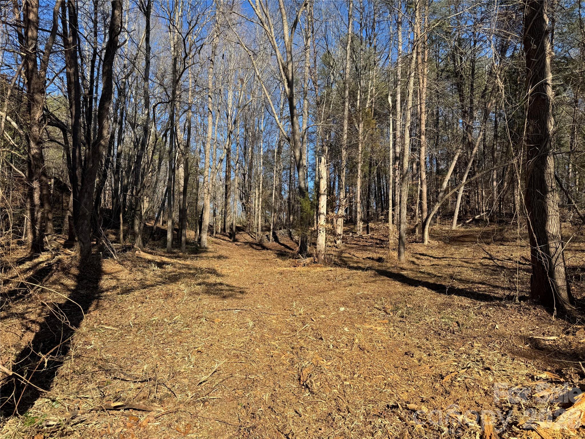 1308 Terrapin Ridge Road Catawba, NC 28609 - Photo 8 of 10 a view of a backyard with large trees