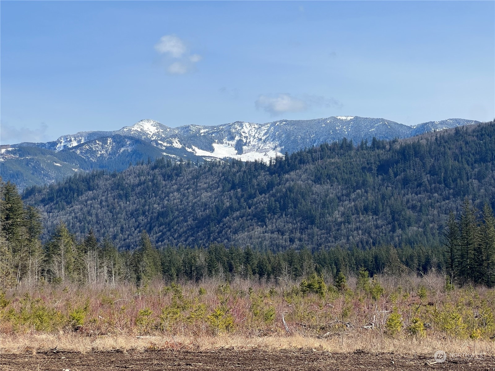9246 Heady Road Sumas, WA 98295 - Photo 3 of 10 a view of a lake with mountains in the background