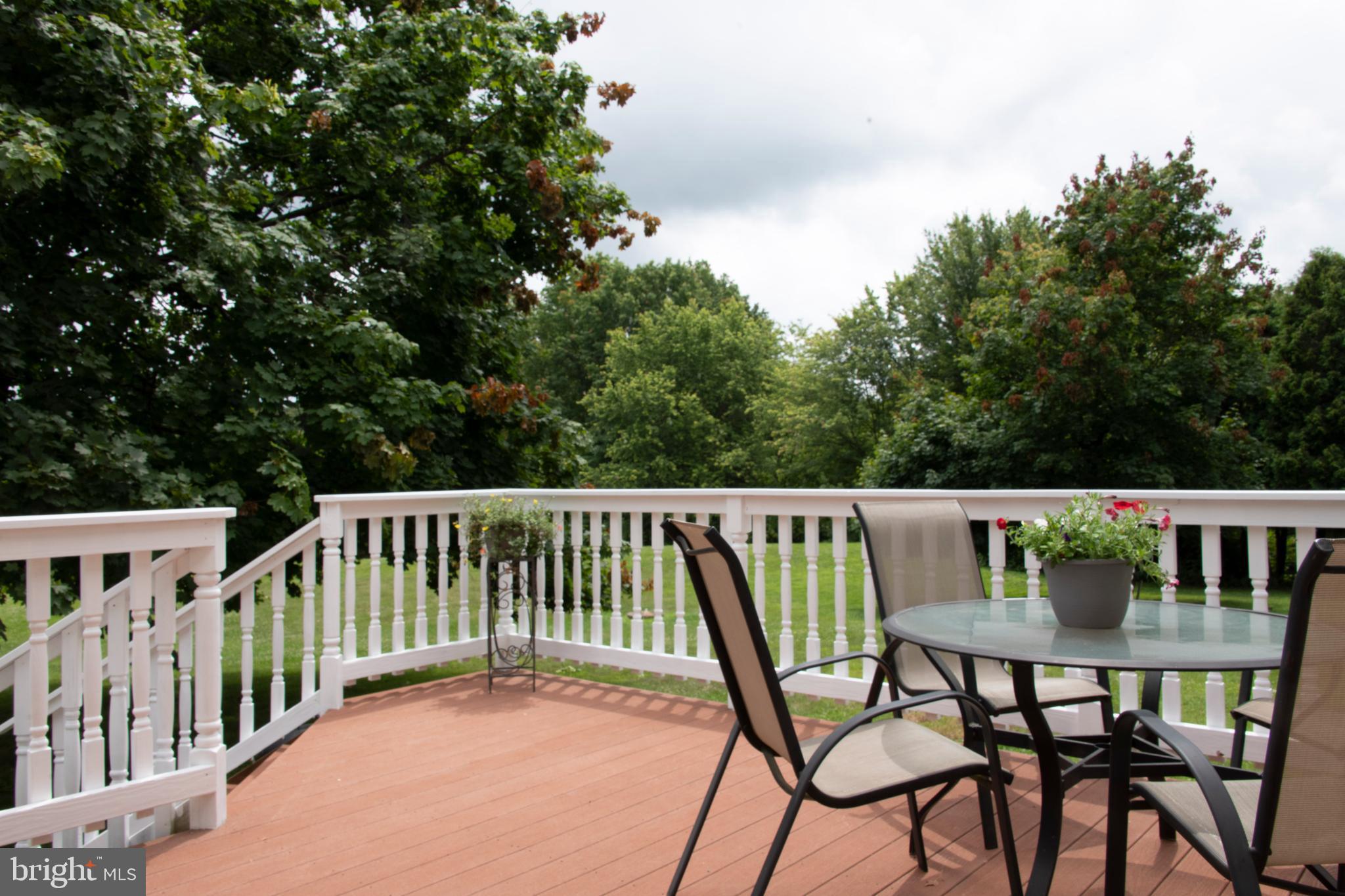 3046 Comfort Road New Hope, PA 18938 - Photo 21 of 57 Patio Deck of kitchen