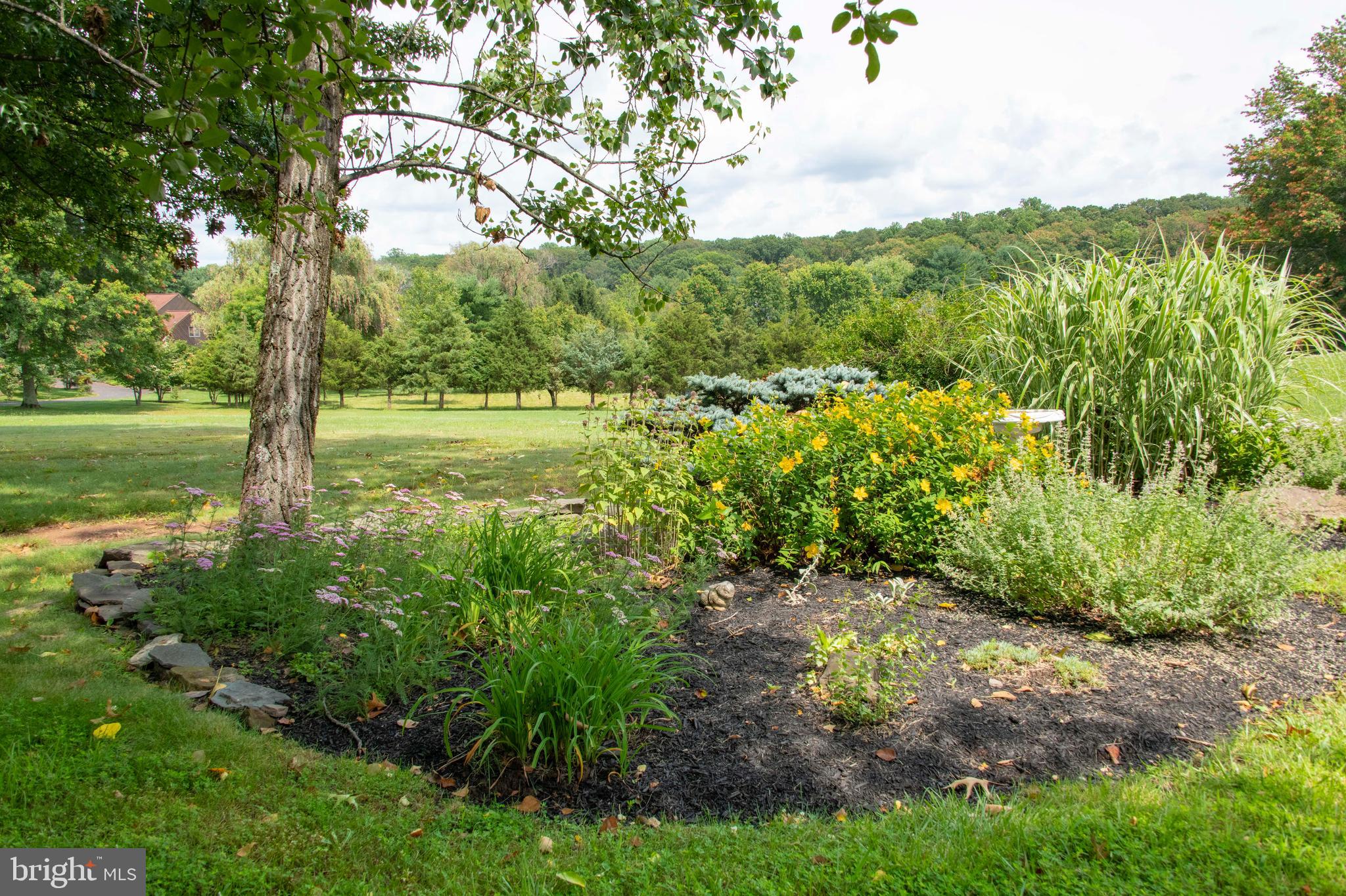 3046 Comfort Road New Hope, PA 18938 - Photo 22 of 57 Perennial gardens with spectacular view