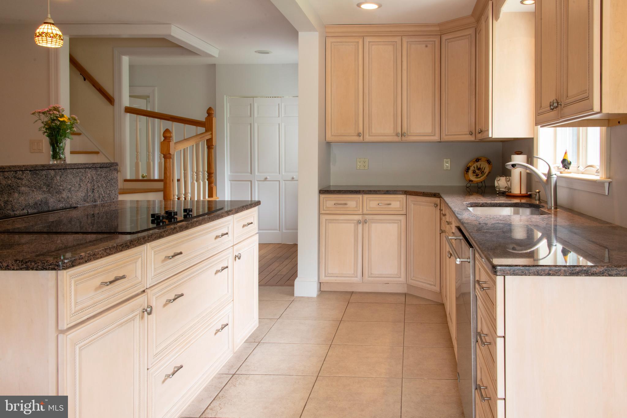 3046 Comfort Road New Hope, PA 18938 - Photo 28 of 57 Cooks island with downdraft