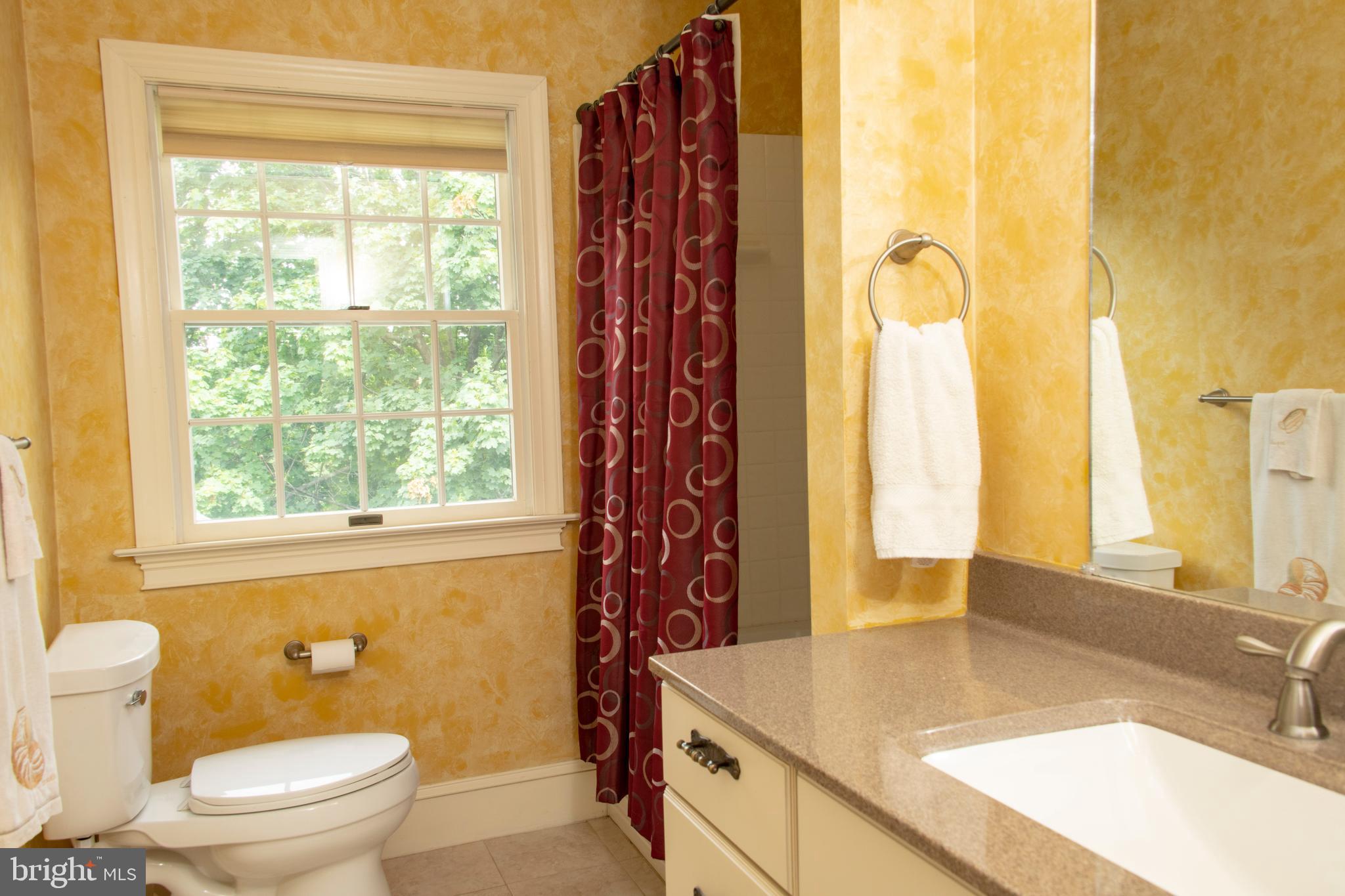 3046 Comfort Road New Hope, PA 18938 - Photo 50 of 57 Hall Bath