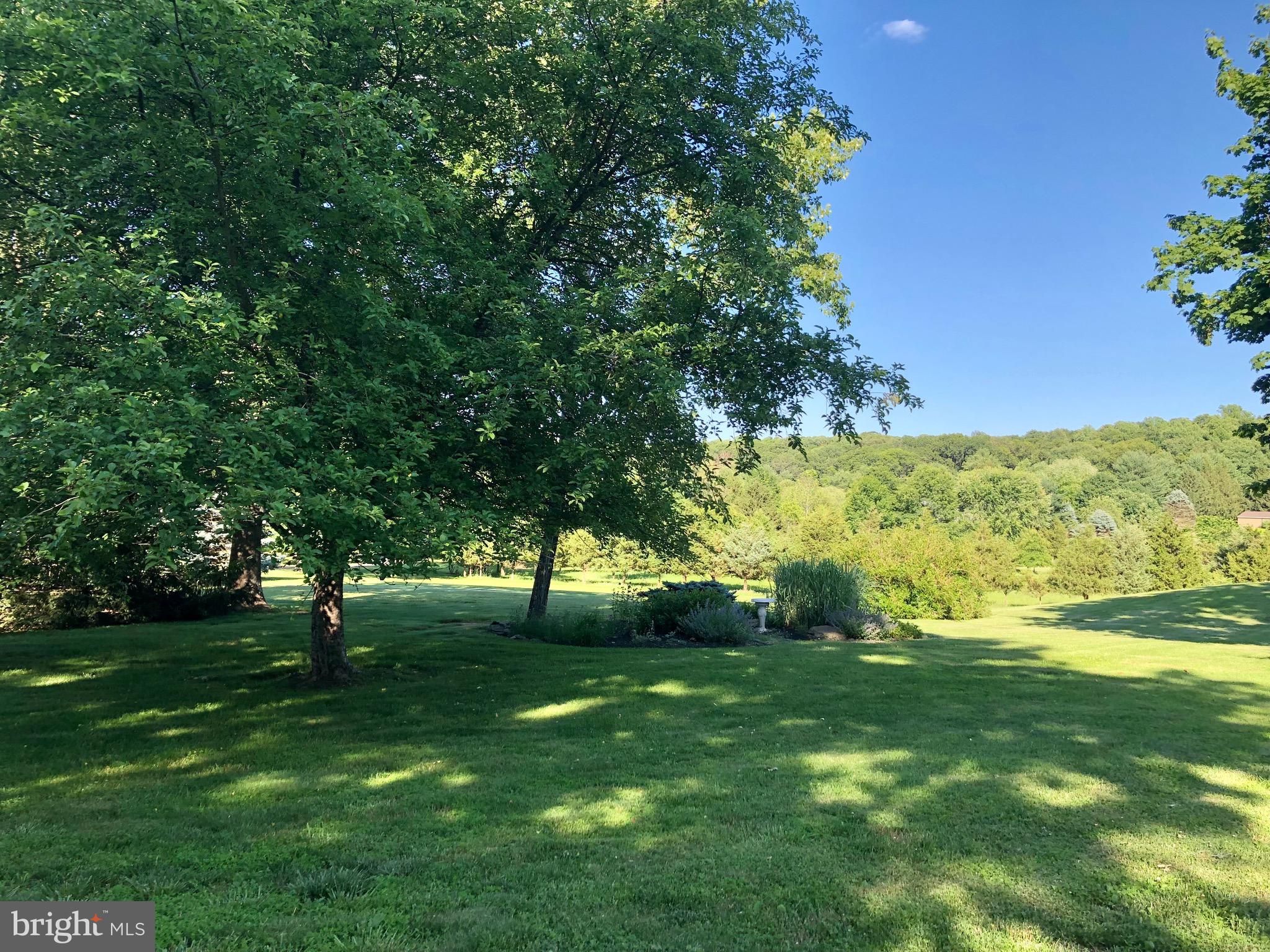 3046 Comfort Road New Hope, PA 18938 - Photo 9 of 57