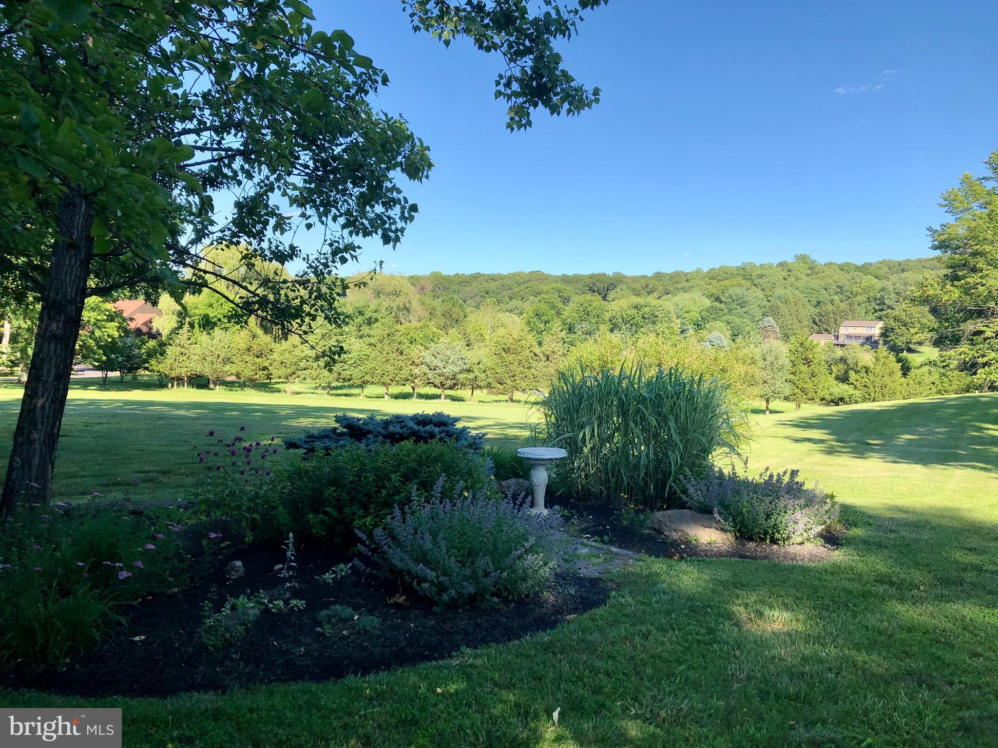 3046 Comfort Road New Hope, PA 18938 - Photo 10 of 57