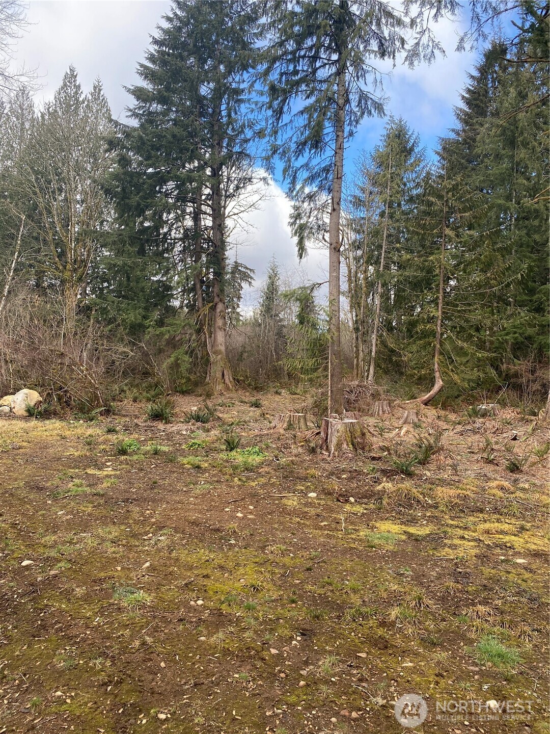 23616 North Lake Cochran Road Monroe, WA 98272 - Photo 11 of 13 a view of a field with trees in the background