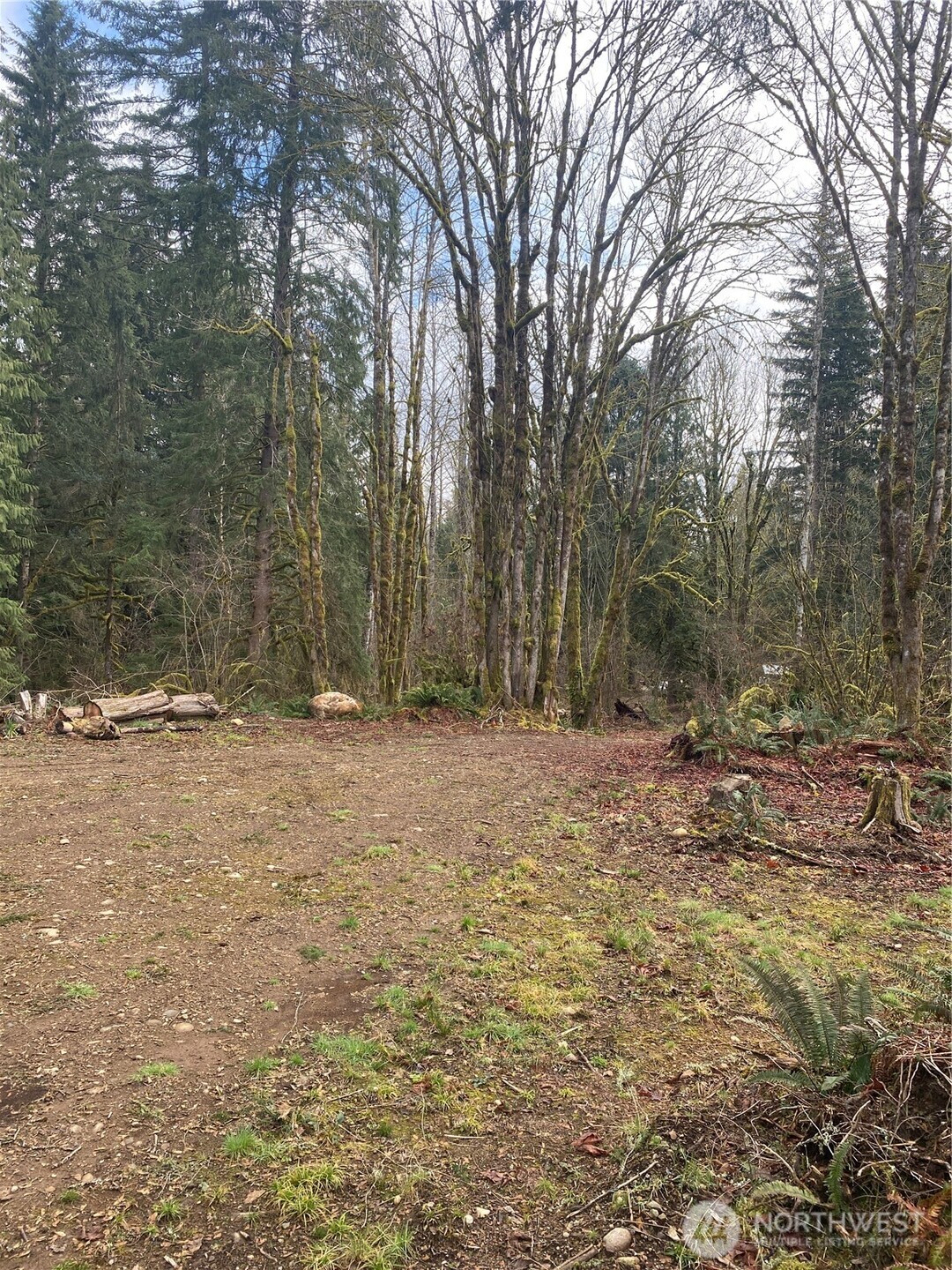 23616 North Lake Cochran Road Monroe, WA 98272 - Photo 13 of 13 a view of outdoor space with trees