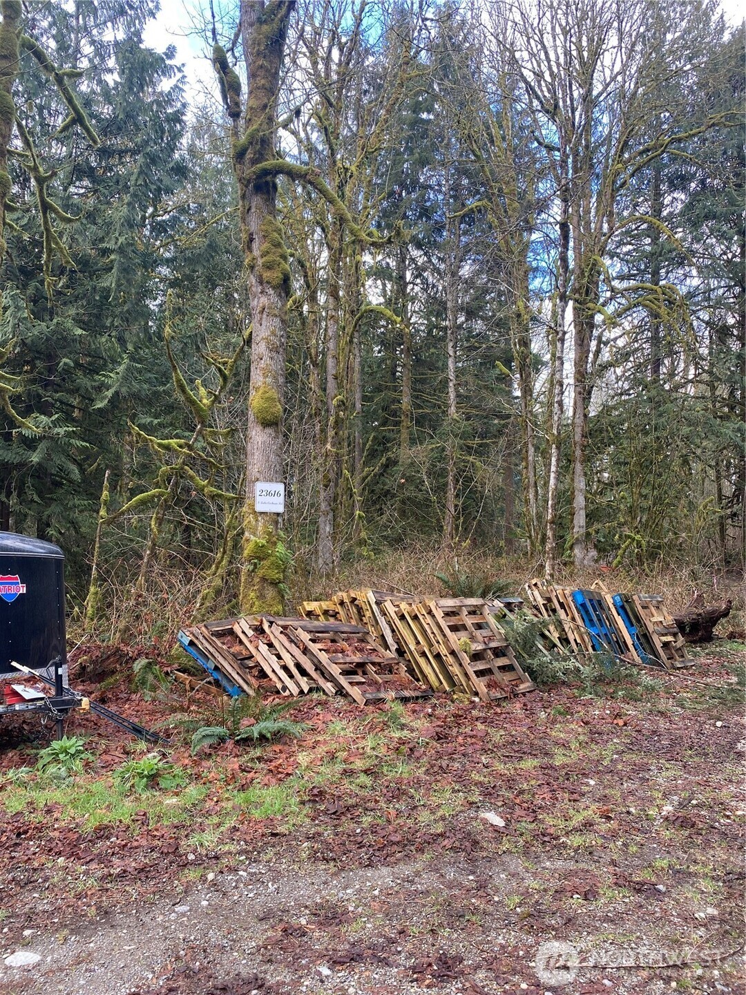 23616 North Lake Cochran Road Monroe, WA 98272 - Photo 2 of 13 a view of a park with large trees
