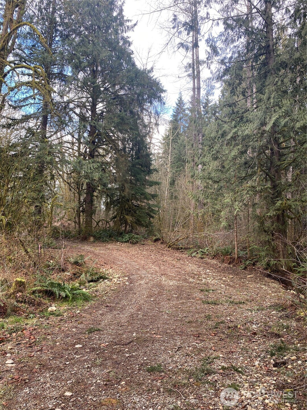 23616 North Lake Cochran Road Monroe, WA 98272 - Photo 3 of 13 a view of a yard with trees in the background