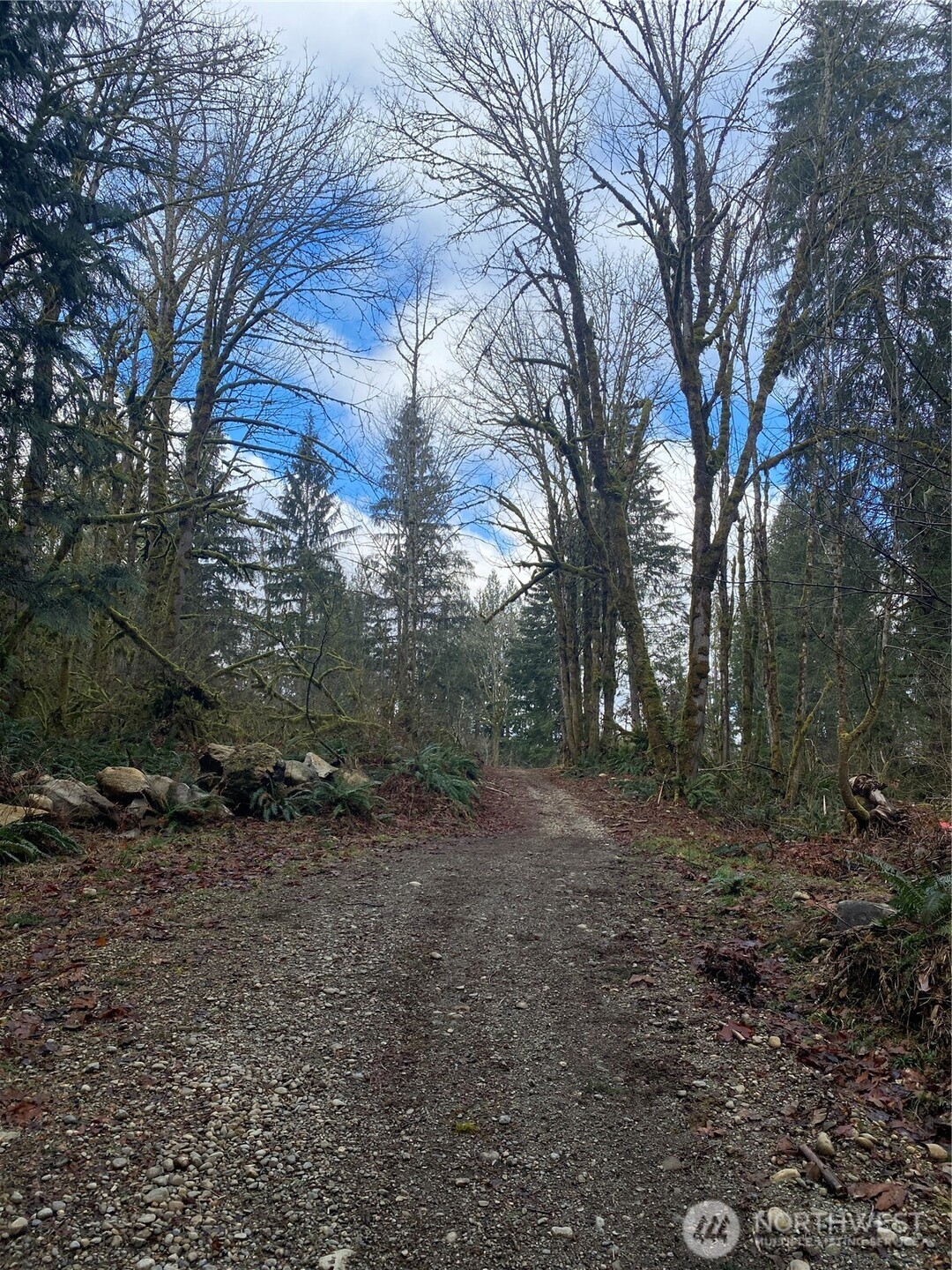 23616 North Lake Cochran Road Monroe, WA 98272 - Photo 4 of 13 a view of a forest with trees
