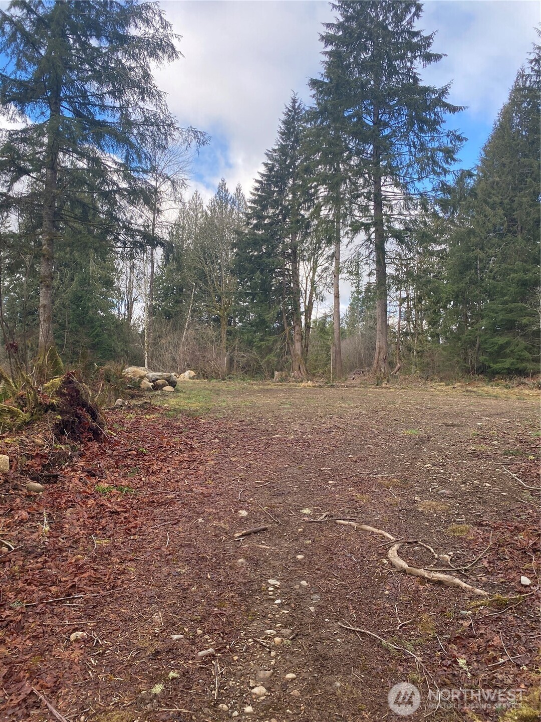 23616 North Lake Cochran Road Monroe, WA 98272 - Photo 5 of 13 a view of outdoor space with tree s