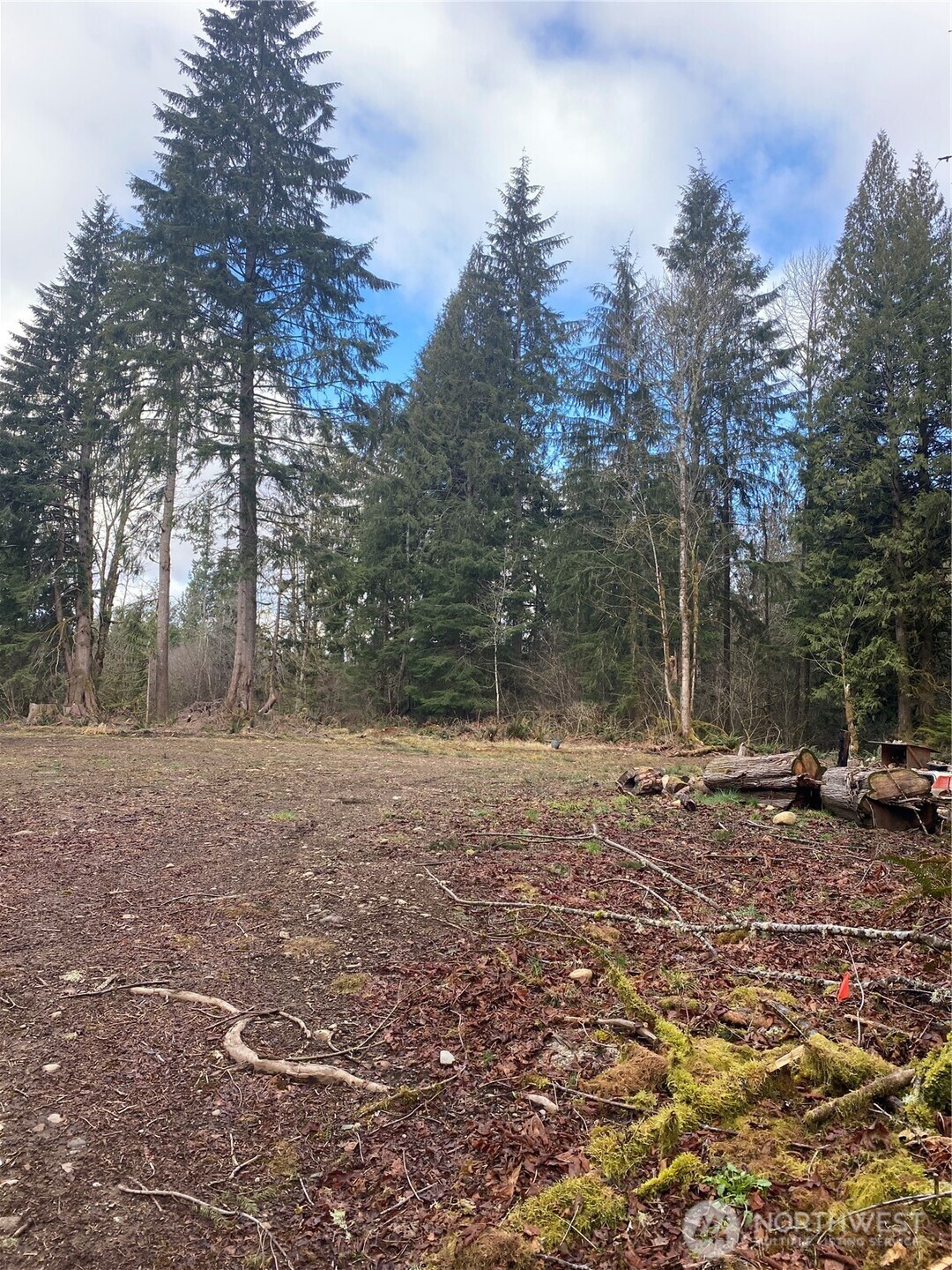 23616 North Lake Cochran Road Monroe, WA 98272 - Photo 6 of 13 a view of a yard with a tree