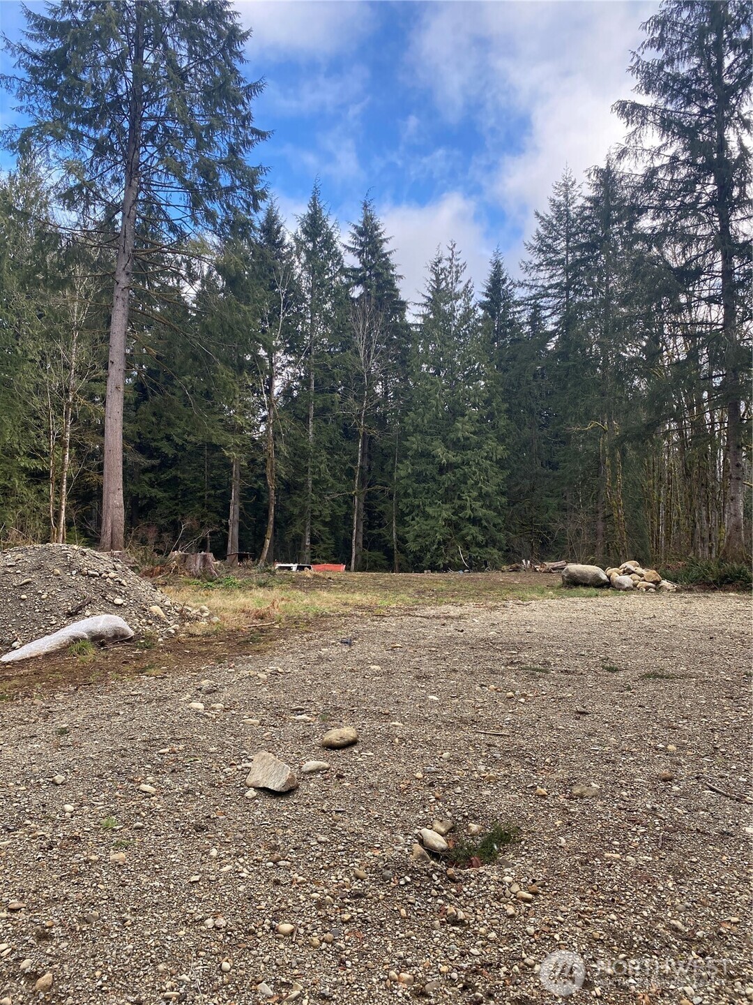 23616 North Lake Cochran Road Monroe, WA 98272 - Photo 9 of 13 a view of a yard with a tree