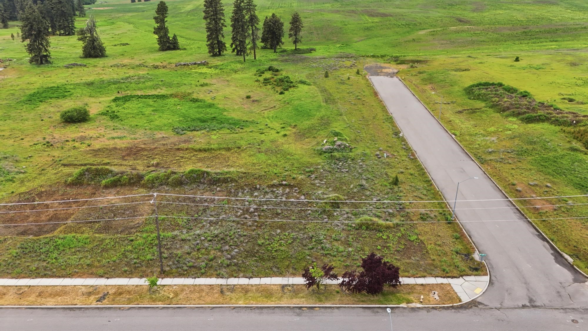 1615 Spring Street Cheney, WA 99004 - Photo 2 of 8