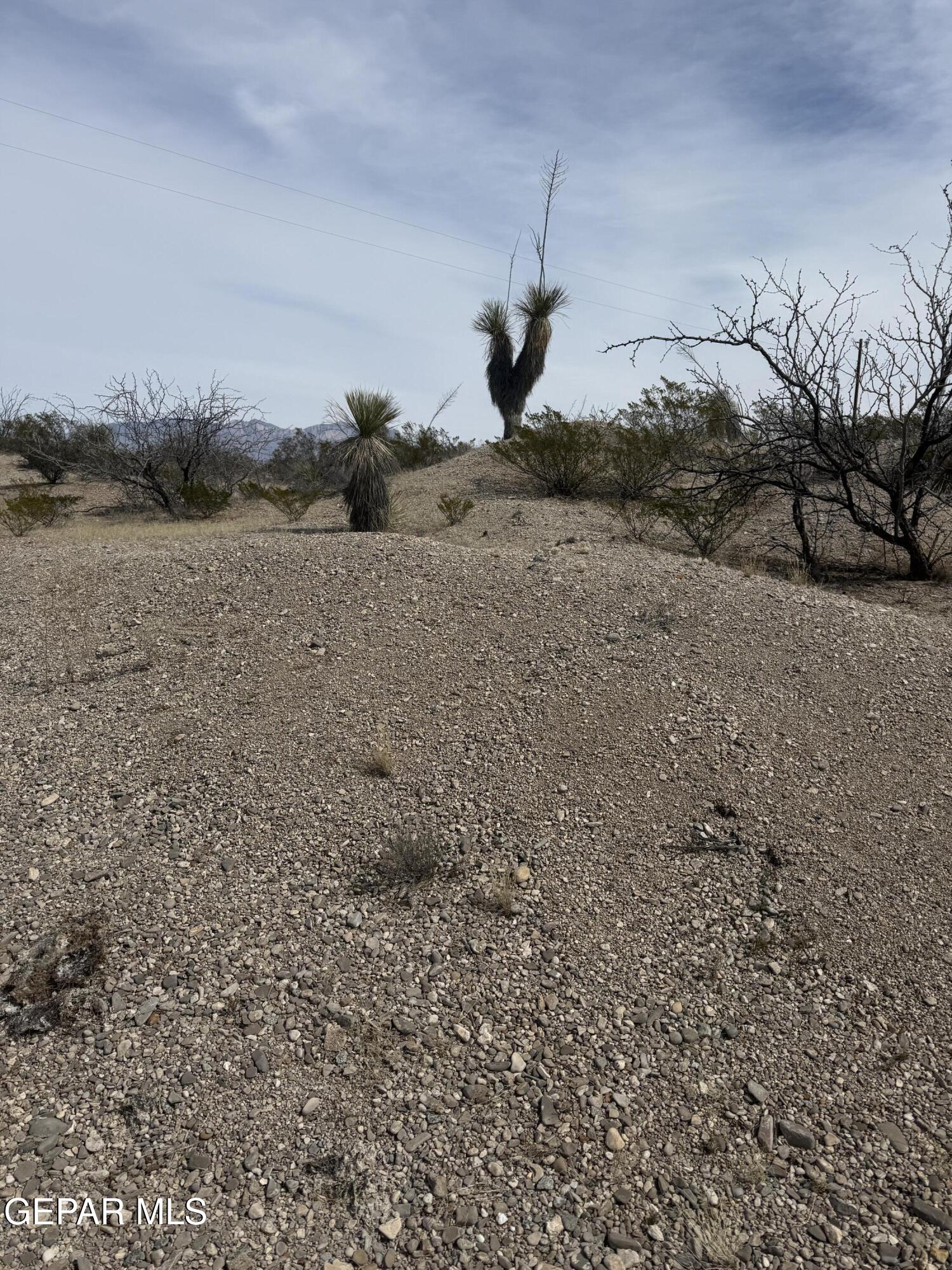88 Ranch Road 1576 Salt Flat, TX 79847 - Photo 18 of 24 a view of a dry yard with wooden fence