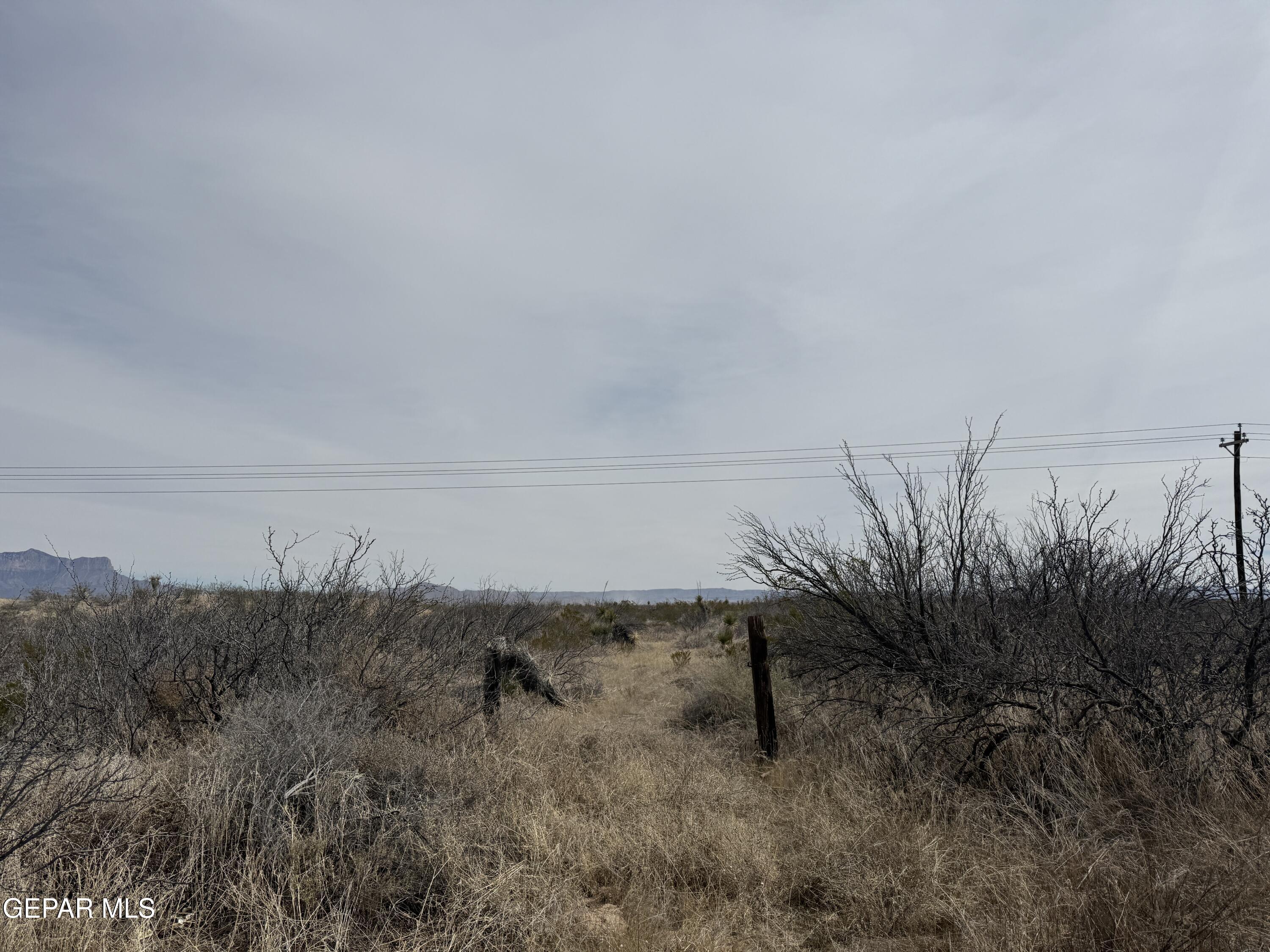 88 Ranch Road 1576 Salt Flat, TX 79847 - Photo 22 of 24 a view of a dry yard with wooden fence