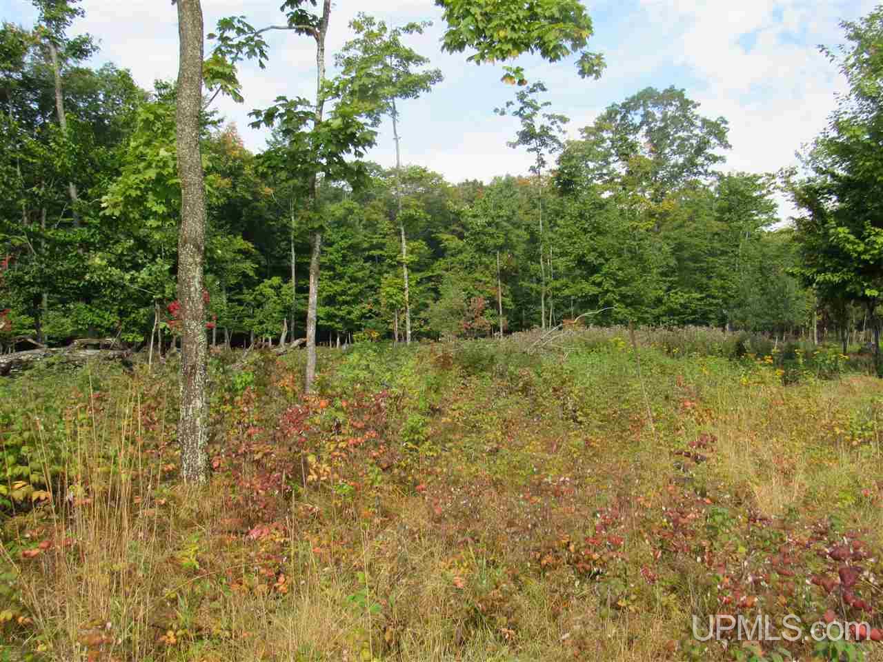 Tbd Ff Road, Unit 13A Garden, MI 49835 - Photo 6 of 8