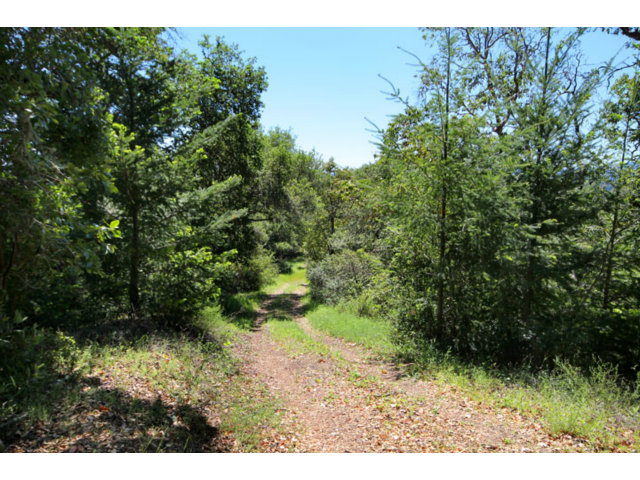 1675 Weston Road Scotts Valley, CA 95066 - Photo 25 of 25 Gallery Image 25