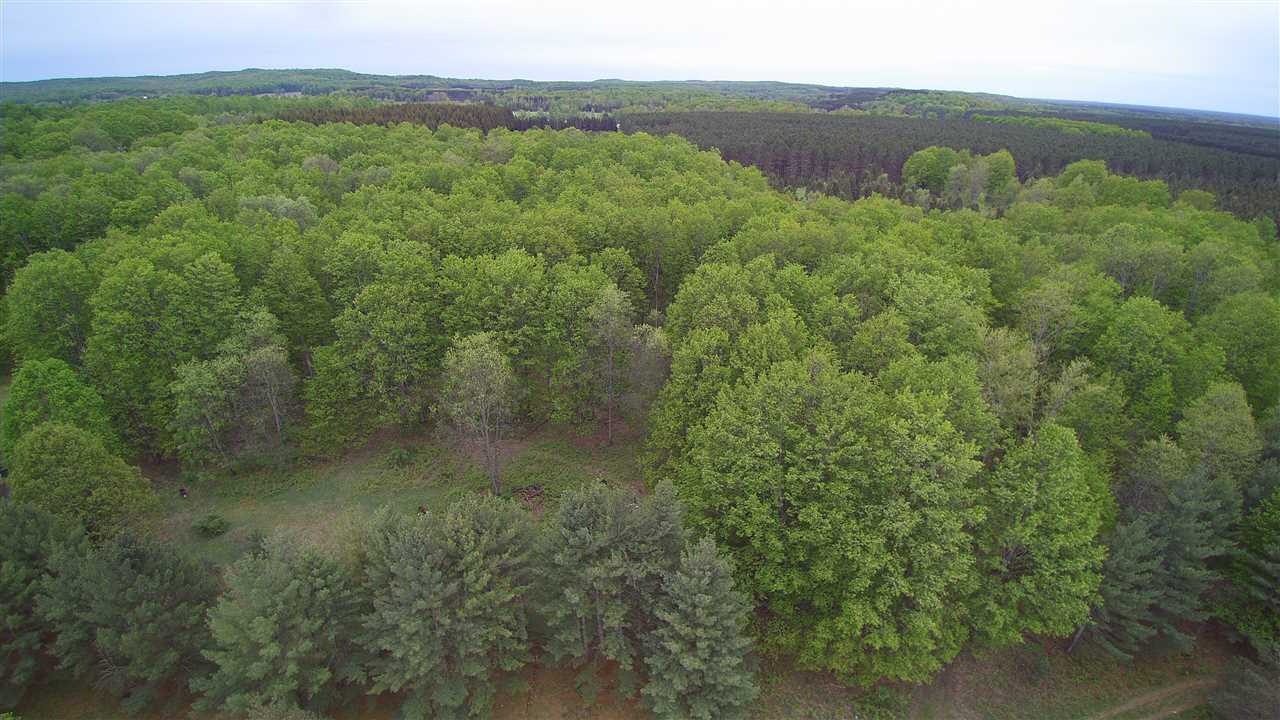 8601 West 30 Road Harrietta, MI 49638 - Photo 45 of 60 1827789-44.JPG