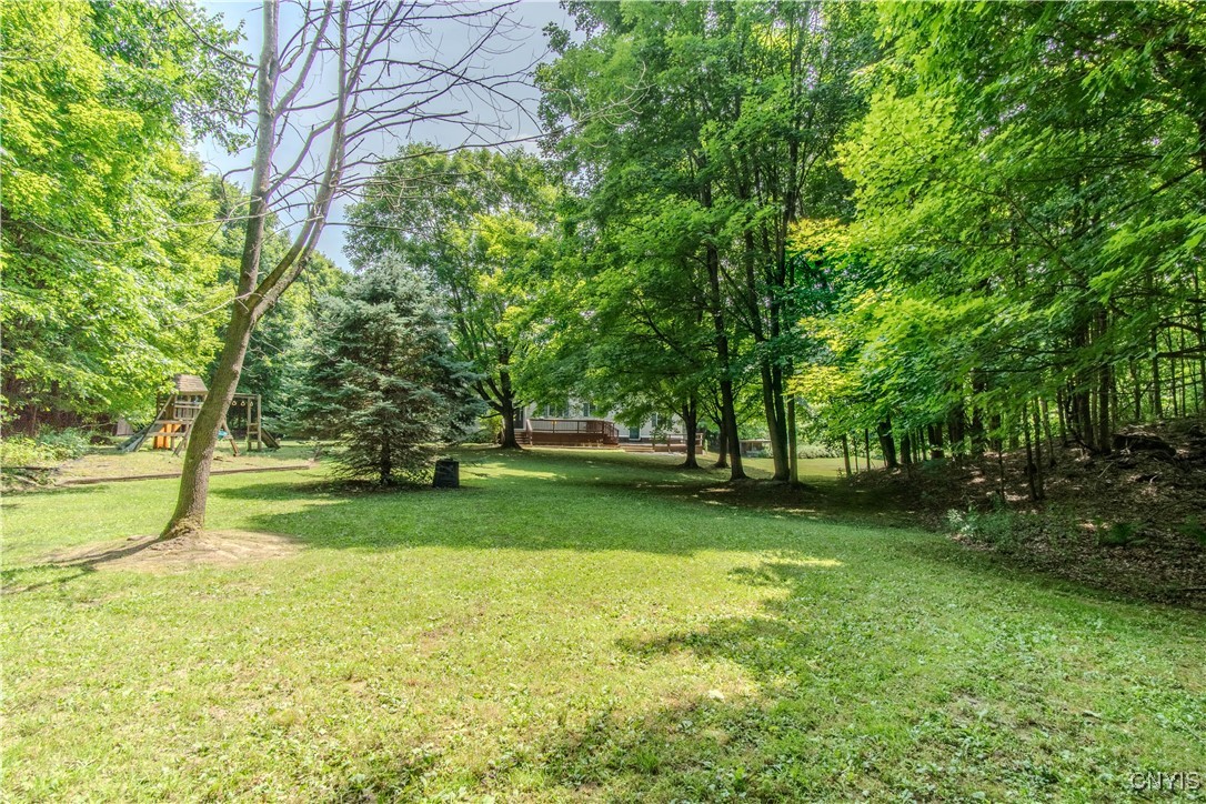 149 Island Branch Road Fowler, NY 13642 - Photo 8 of 50 Gallery Image 8