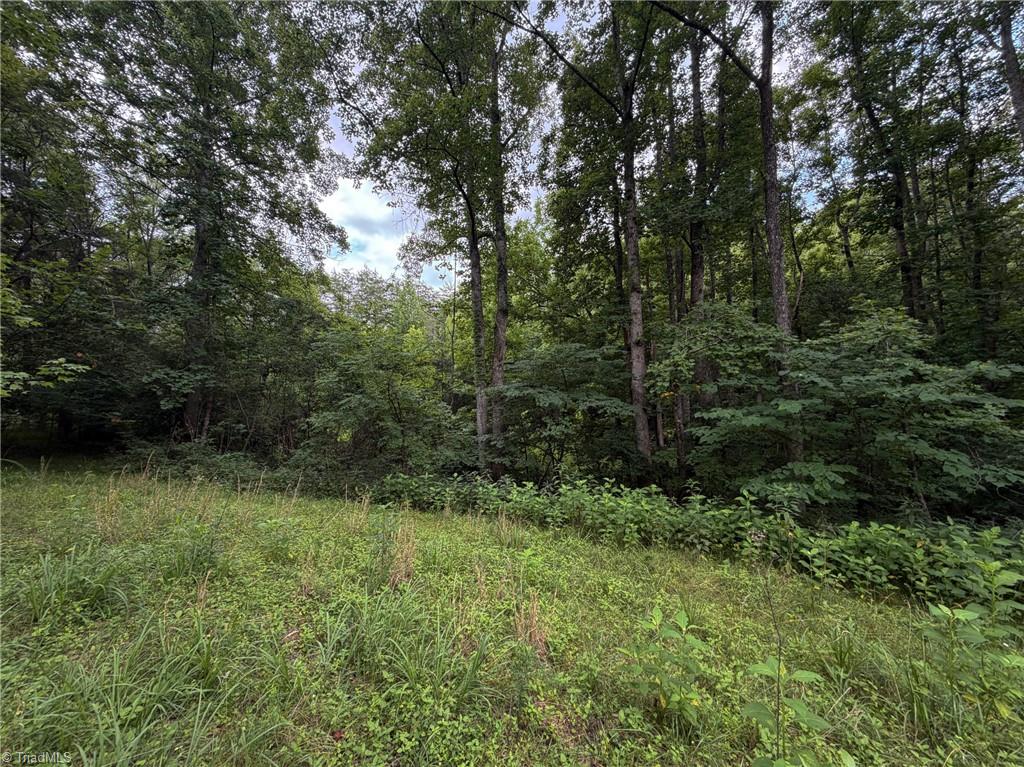 1215 Lucius Beasley Road Westfield, NC 27053 - Photo 25 of 25