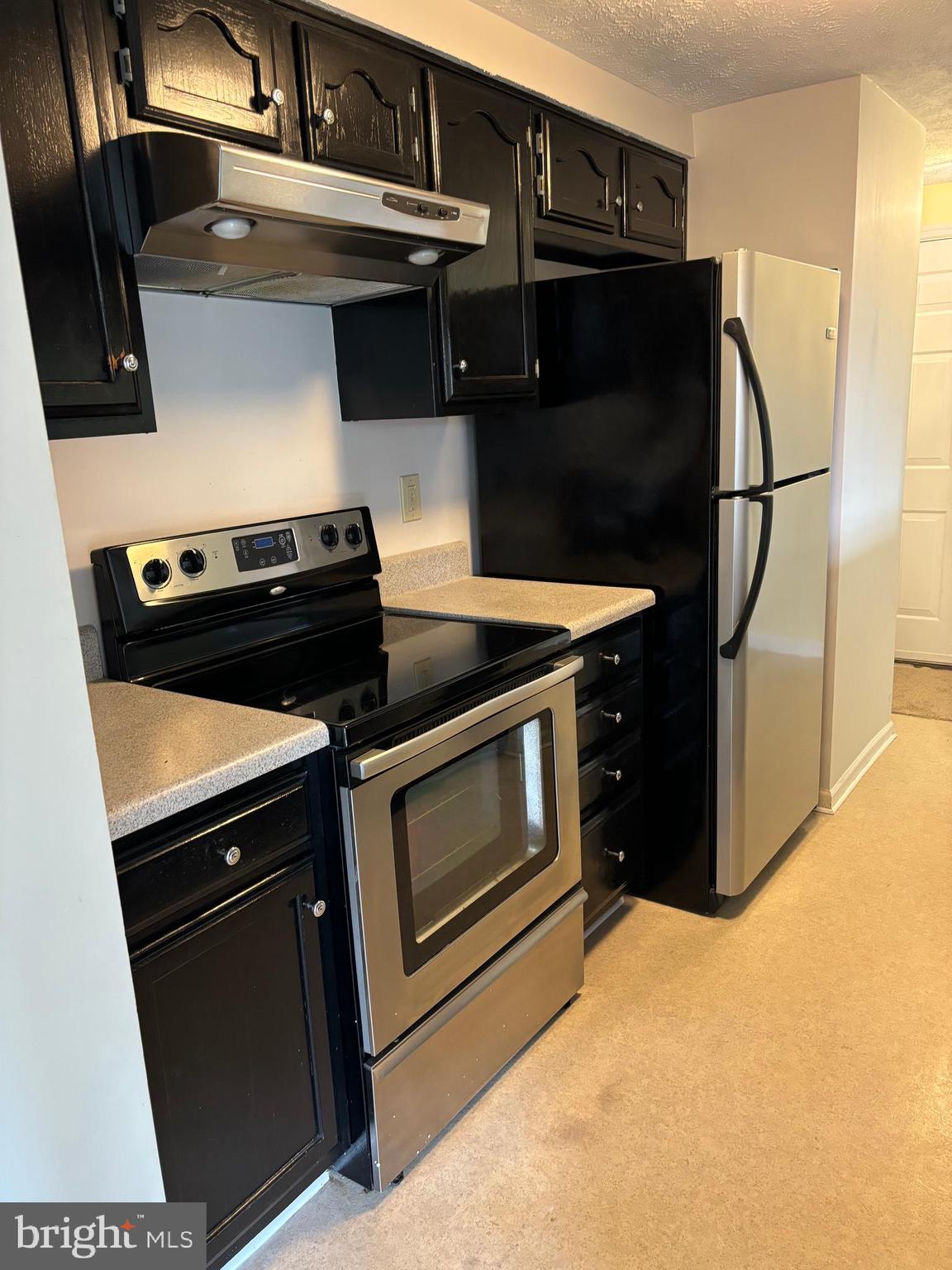 6355 Greenfield Road, Unit 1604 Elkridge, MD 21075 - Photo 18 of 33 Gallery Image 18