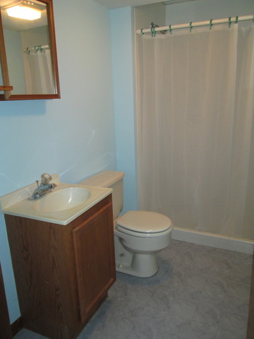 600 Schoolgate Road New Lenox, IL 60451 - Photo 14 of 24 a bathroom with a sink a toilet and mirror