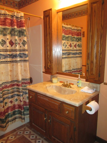 600 Schoolgate Road New Lenox, IL 60451 - Photo 5 of 24 a bathroom with a sink and a mirror