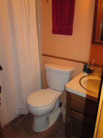 600 Schoolgate Road New Lenox, IL 60451 - Photo 10 of 24 a bathroom with a sink and a toilet
