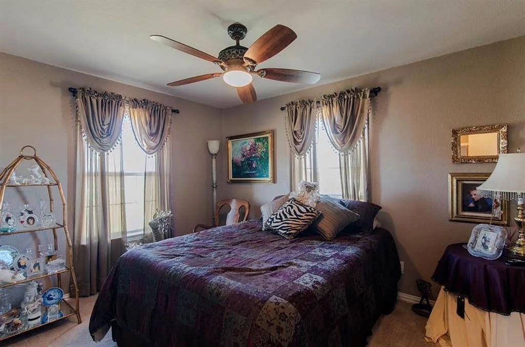 10899 Jackson Road Krum, TX 76249 - Photo 9 of 11 Bedroom featuring ceiling fan, multiple windows, and light carpet