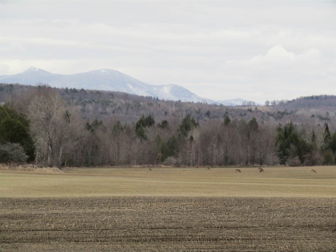 2974 North Sheldon Road Franklin, VT 05457 - Photo 18 of 27 Gallery Image 18