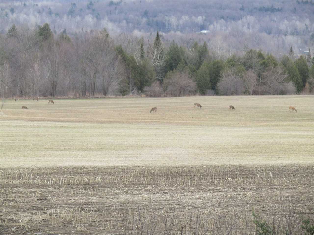 2974 North Sheldon Road Franklin, VT 05457 - Photo 19 of 27 Gallery Image 19