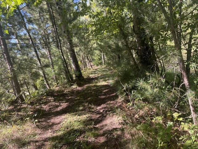 Lot 4 Skyview Road Mosinee, WI 54455 - Photo 12 of 17