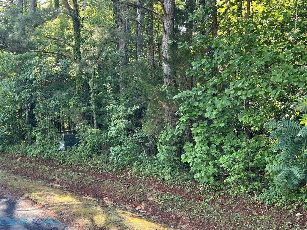 Tbd Orchard Cove Road Locust Hill, VA 23092 - Photo 1 of 2