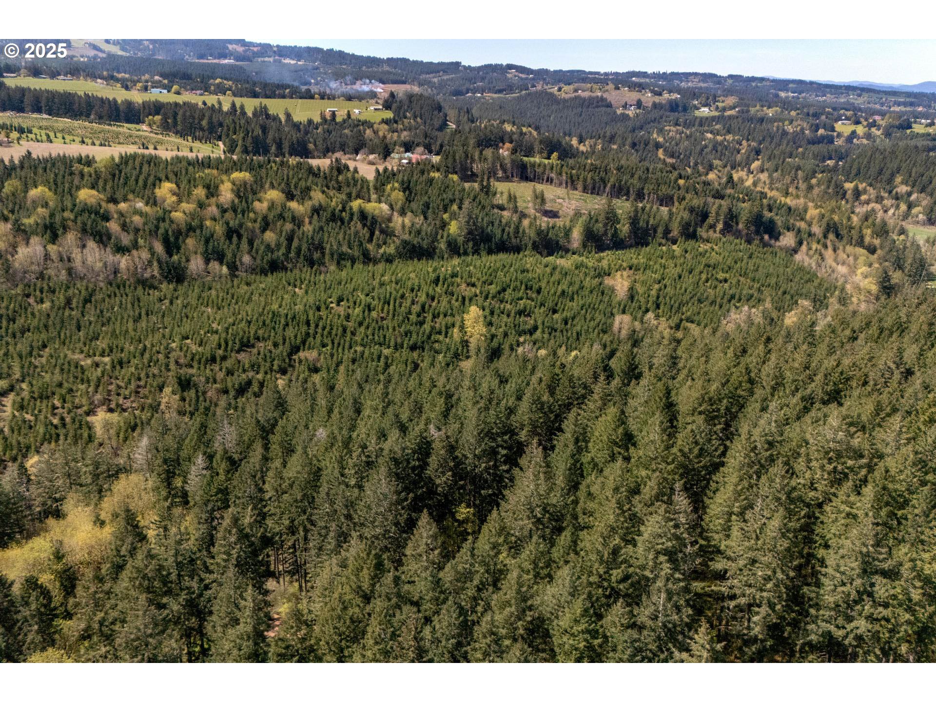 18675 Southwest Forest Park Road Hillsboro, OR 97123 - Photo 11 of 17 a view of city and mountain