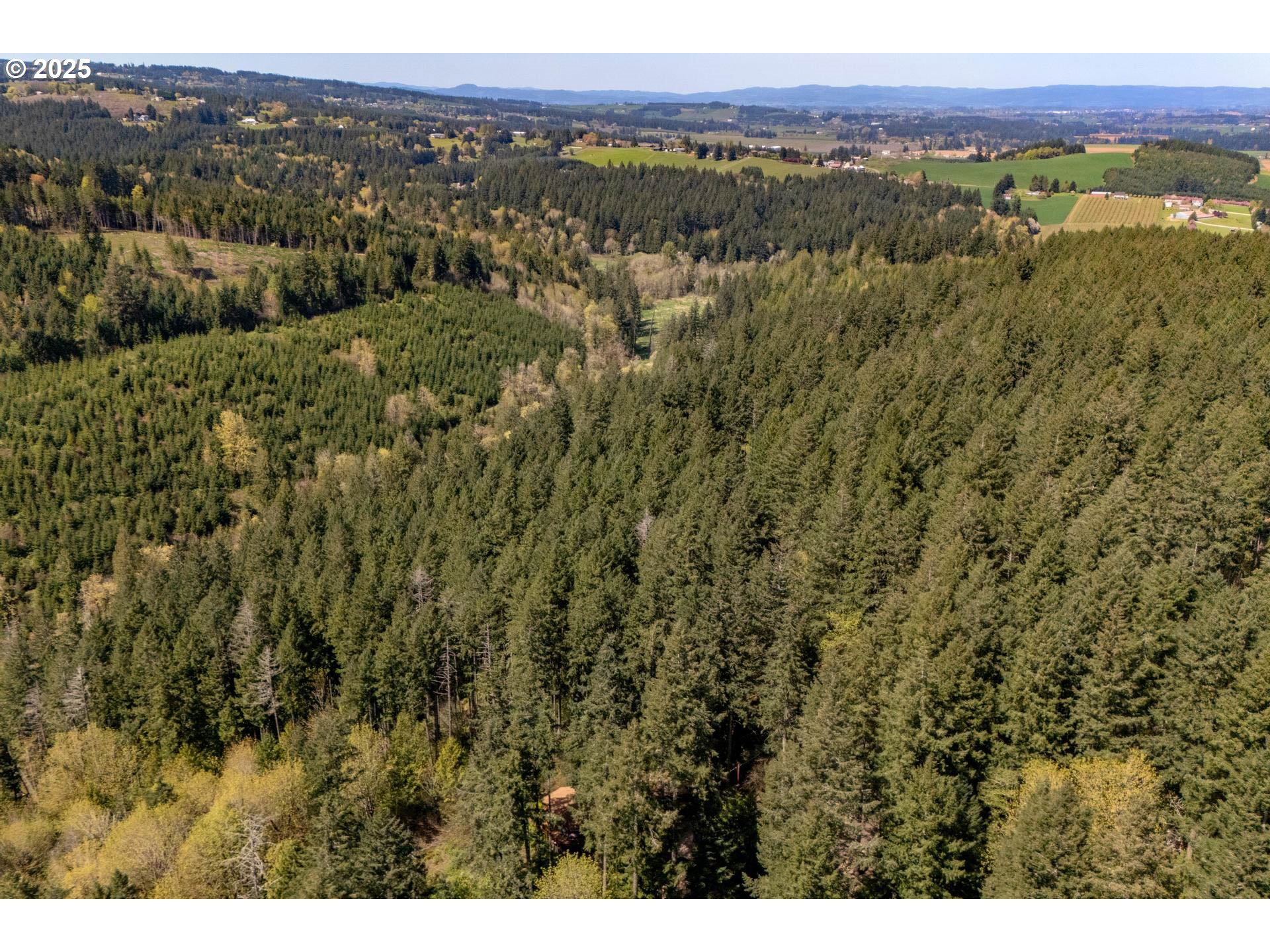 18675 Southwest Forest Park Road Hillsboro, OR 97123 - Photo 12 of 17 a view of a large green field with mountains in the background