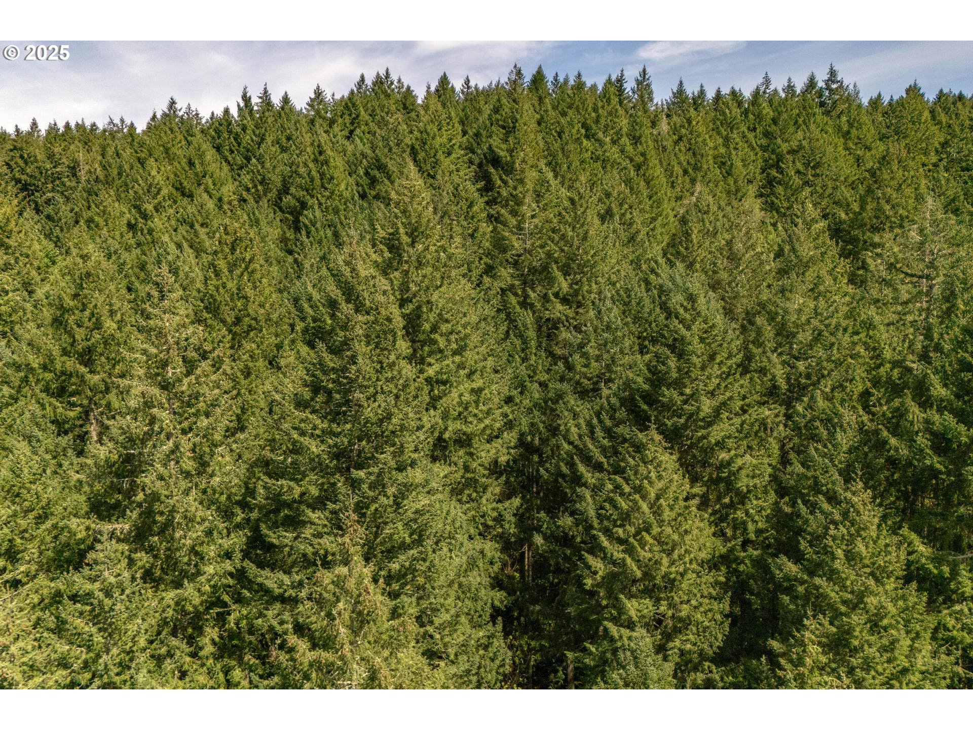 18675 Southwest Forest Park Road Hillsboro, OR 97123 - Photo 17 of 17 a view of a large green field