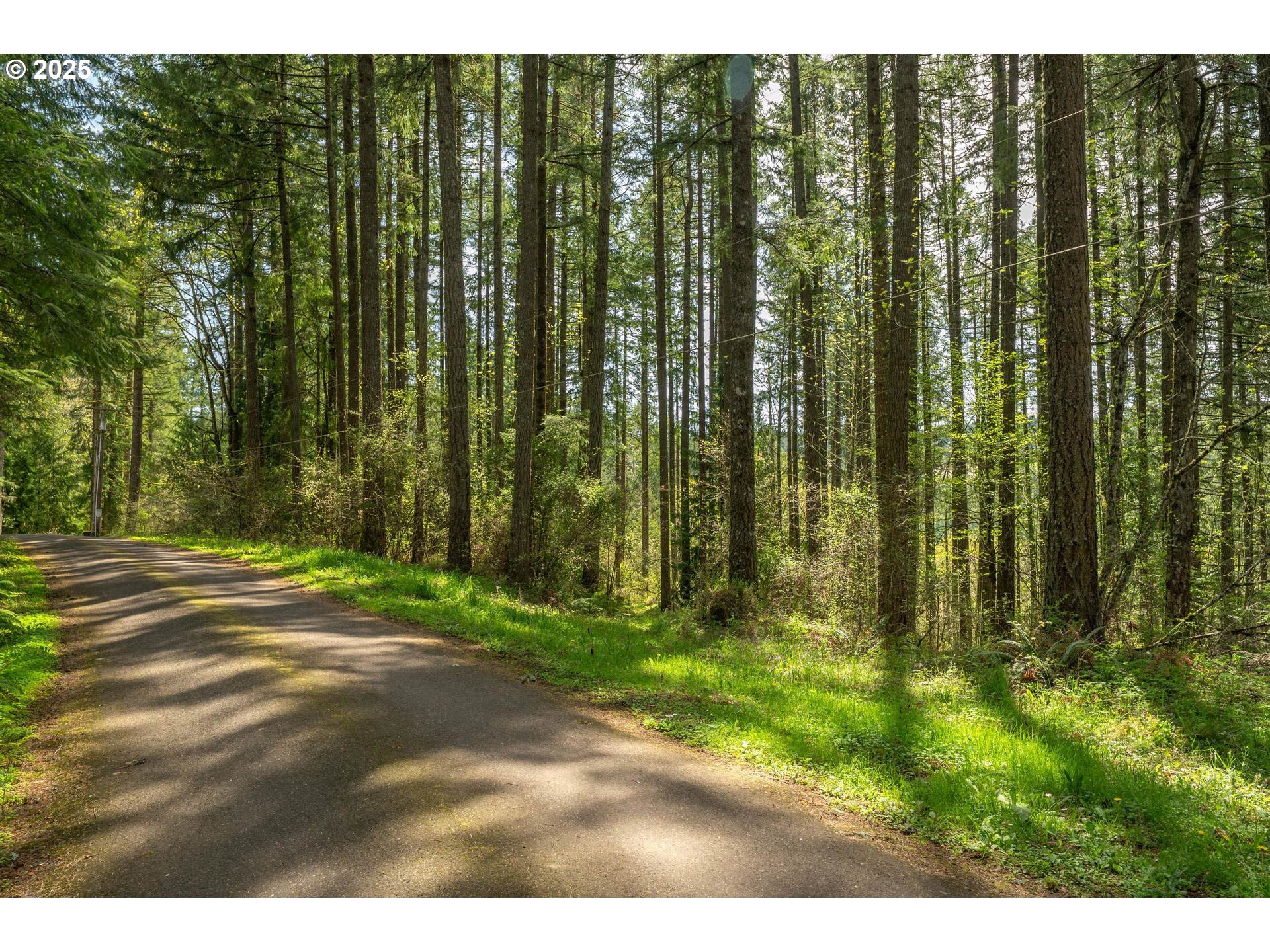 18675 Southwest Forest Park Road Hillsboro, OR 97123 - Photo 3 of 17 a view of backyard with green space