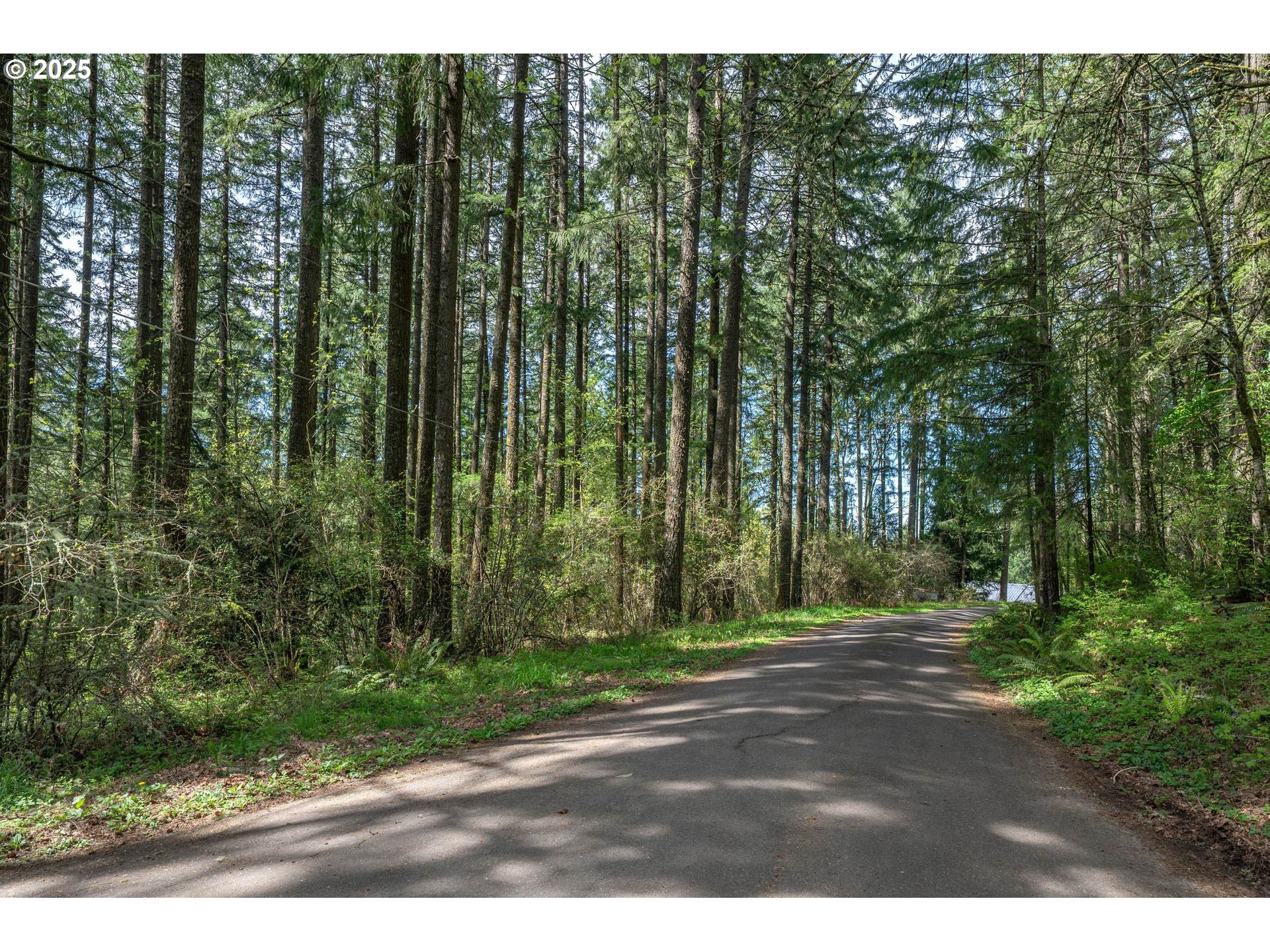 18675 Southwest Forest Park Road Hillsboro, OR 97123 - Photo 4 of 17 a view of a yard with large trees