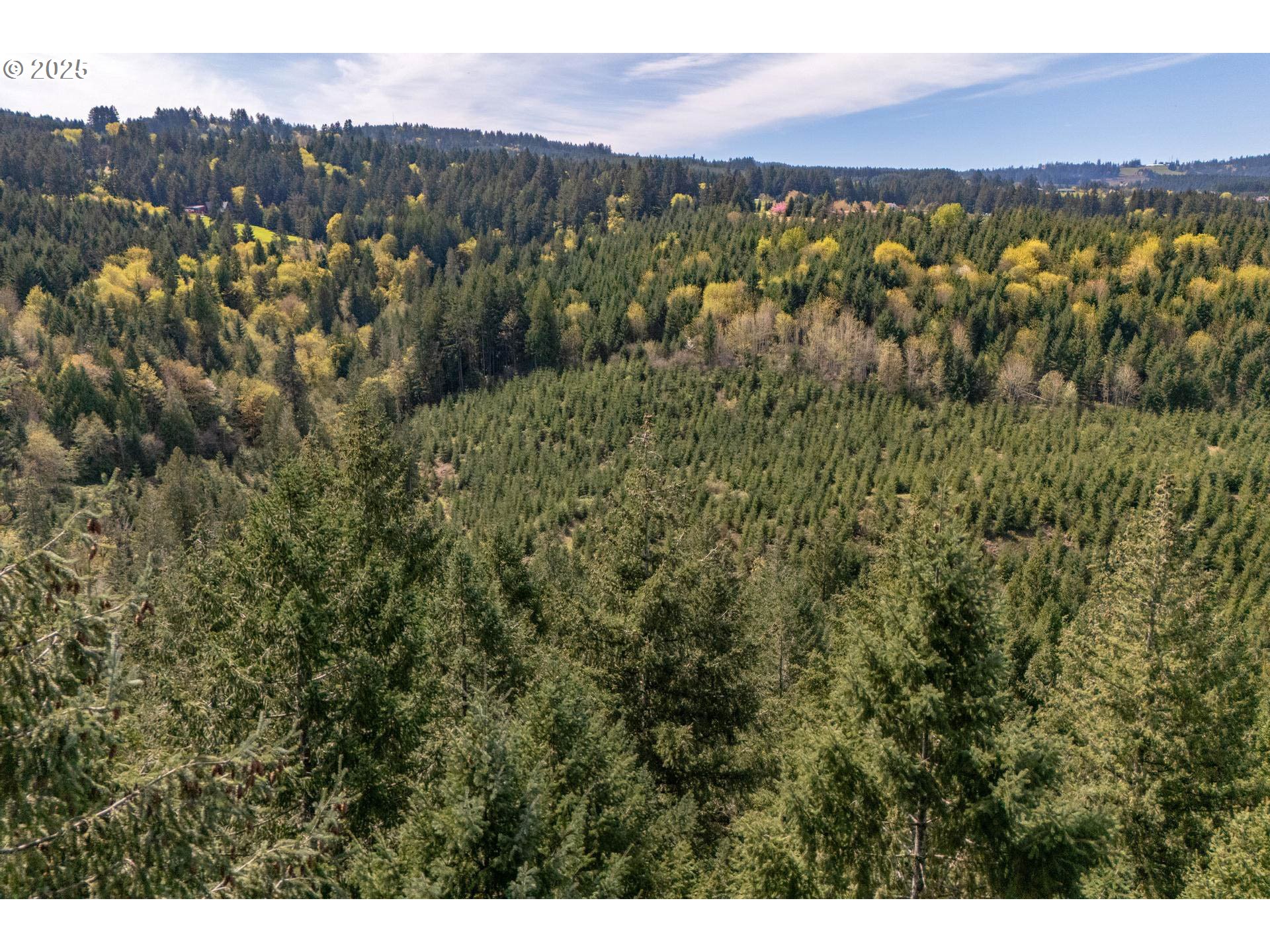 18675 Southwest Forest Park Road Hillsboro, OR 97123 - Photo 6 of 17 a view of a city with mountain