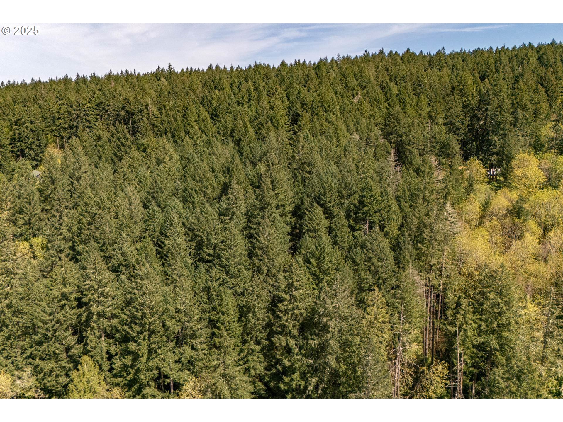 18675 Southwest Forest Park Road Hillsboro, OR 97123 - Photo 7 of 17 a view of a field of grass and trees