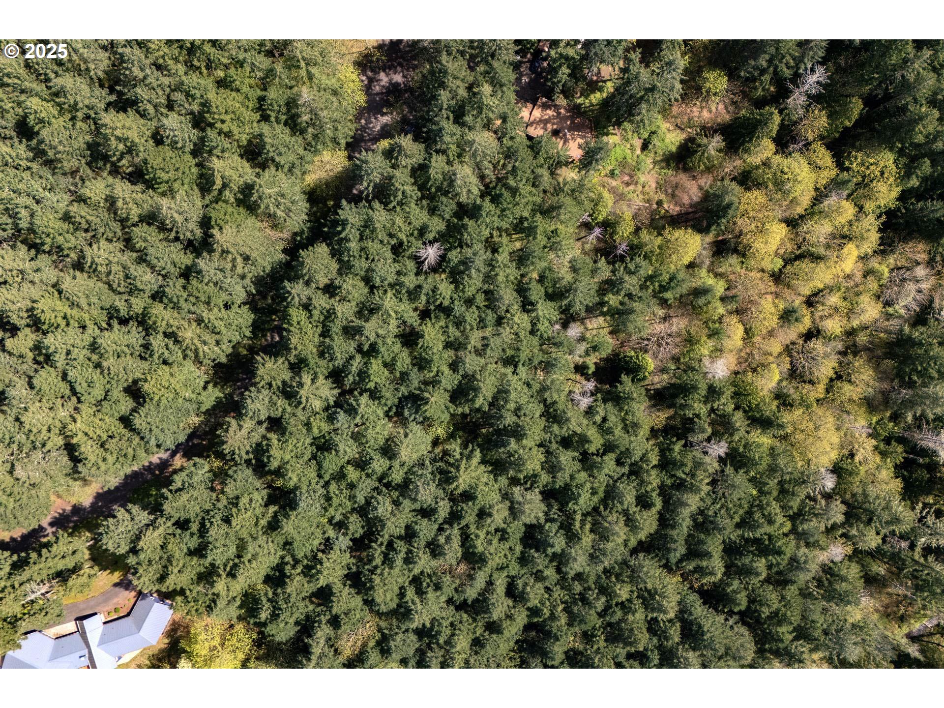 18675 Southwest Forest Park Road Hillsboro, OR 97123 - Photo 8 of 17 a view of a field with a tree