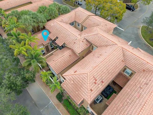 a view of a garden with plants