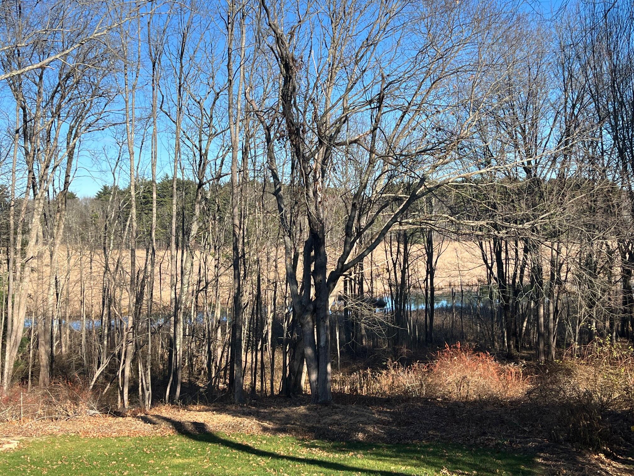 148 Adlington Road Eliot, ME 03903 - Photo 1 of 28 Backyard View