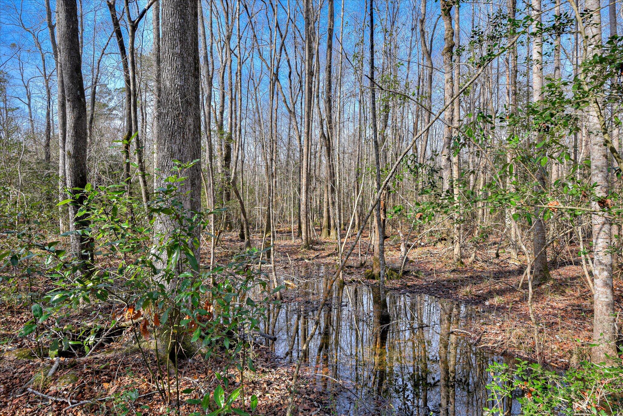 2 Day Road Aiken, SC 29805 - Photo 13 of 13 28-128