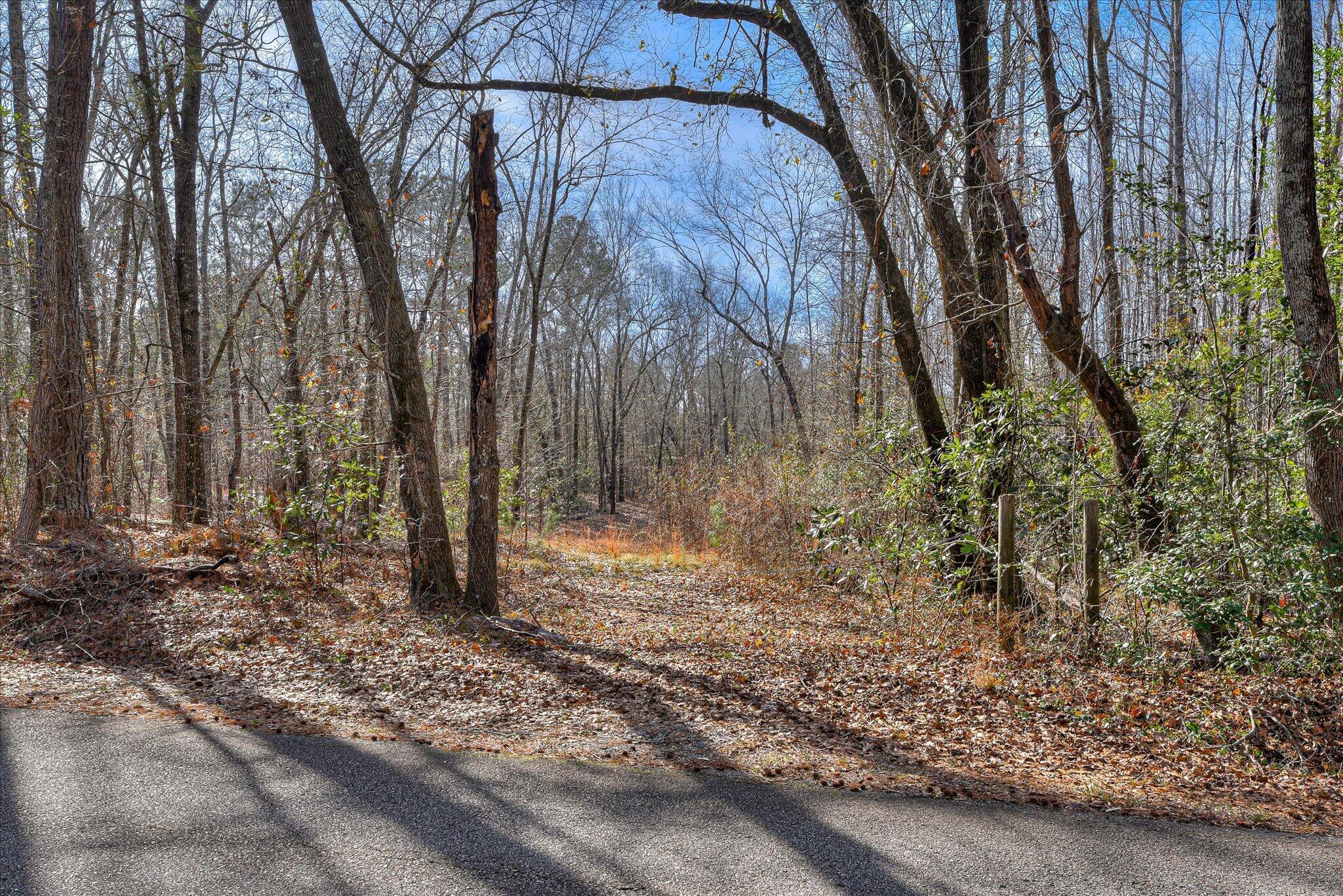 2 Day Road Aiken, SC 29805 - Photo 6 of 13 17-116