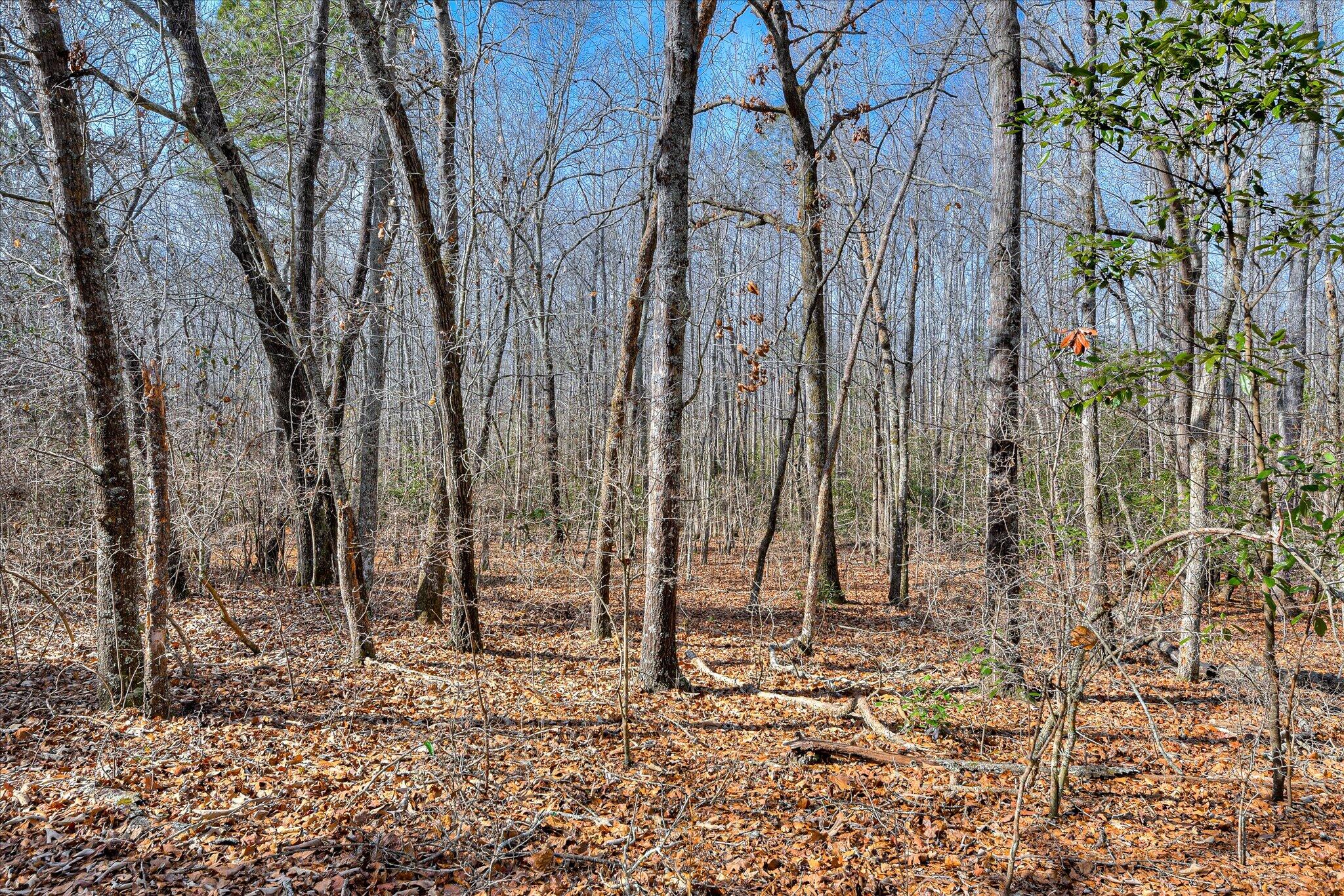 2 Day Road Aiken, SC 29805 - Photo 10 of 13 26-126